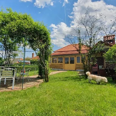 Country house La Mosu-n Retezat Nucsoara (Hunedoara)