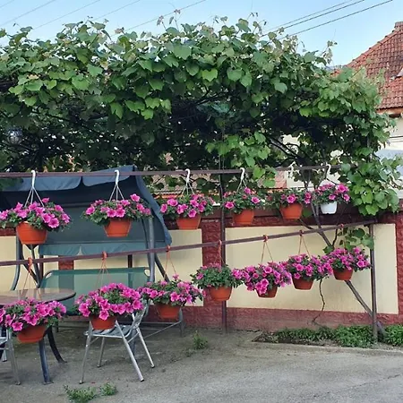 La Mosu-n Retezat Country house *