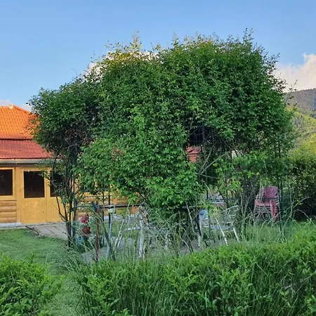 La Mosu-n Retezat Country house
