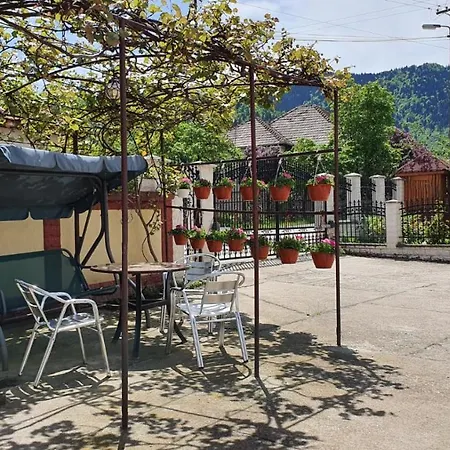 La Mosu-n Retezat * Nucsoara (Hunedoara)