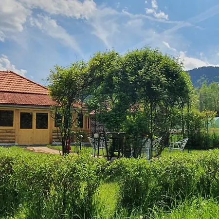 La Mosu-n Retezat