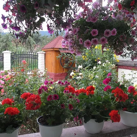 La Mosu-n Retezat Country house