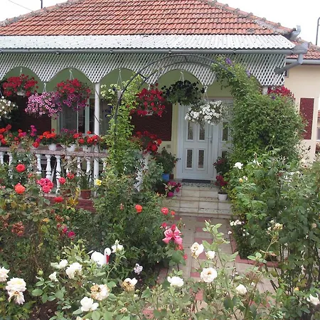 Country house La Mosu-n Retezat *